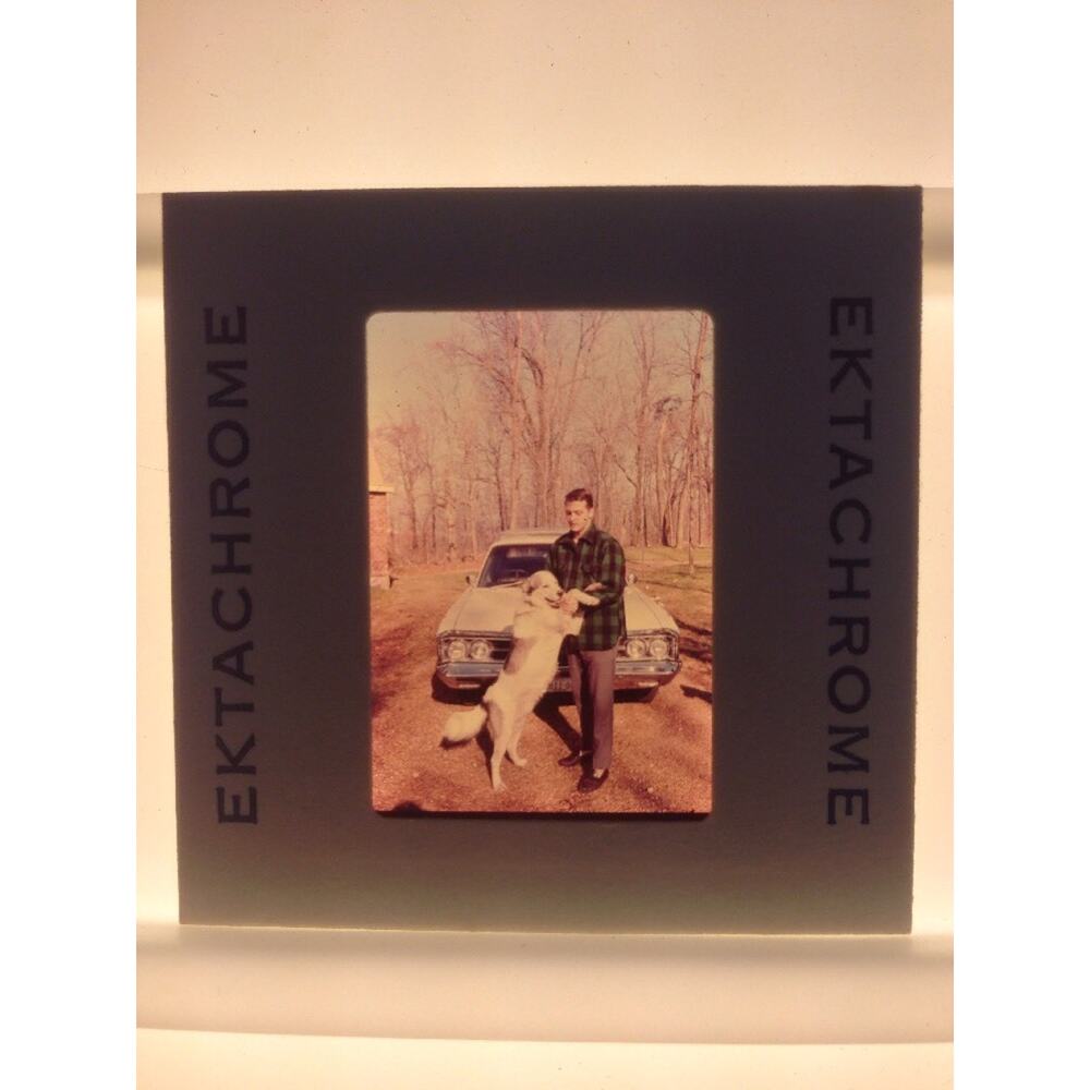 Vintage 70s Man Playing w/ Dog Car Automobile Ektachrome Photograph Color Slide